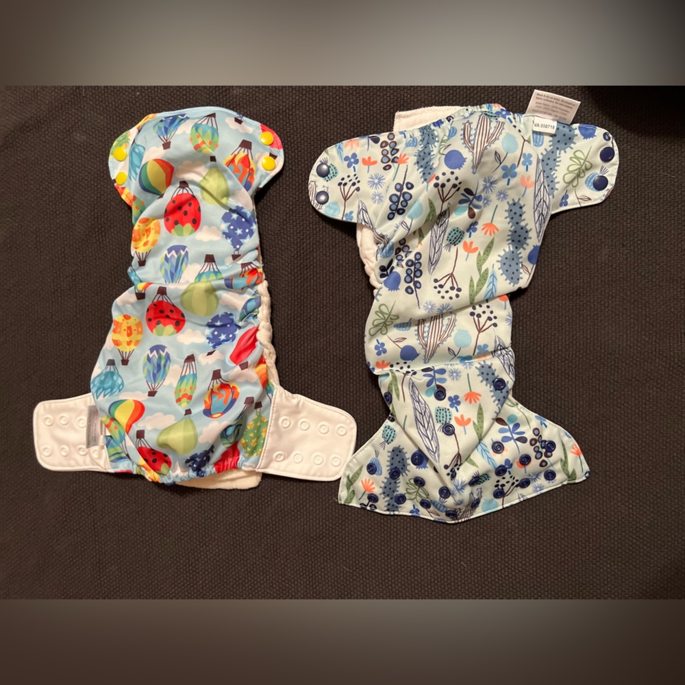 Blueberry Simplex All-in-One Organic Cloth Diapers — 2